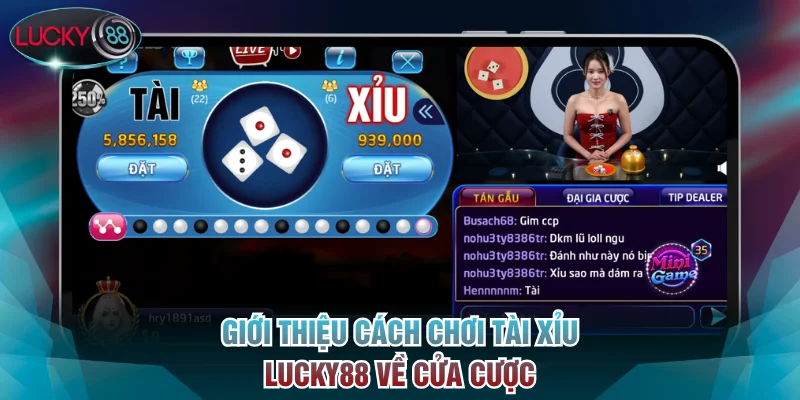 Giới thiệu cách chơi Tài Xỉu Lucky88 về cửa cược